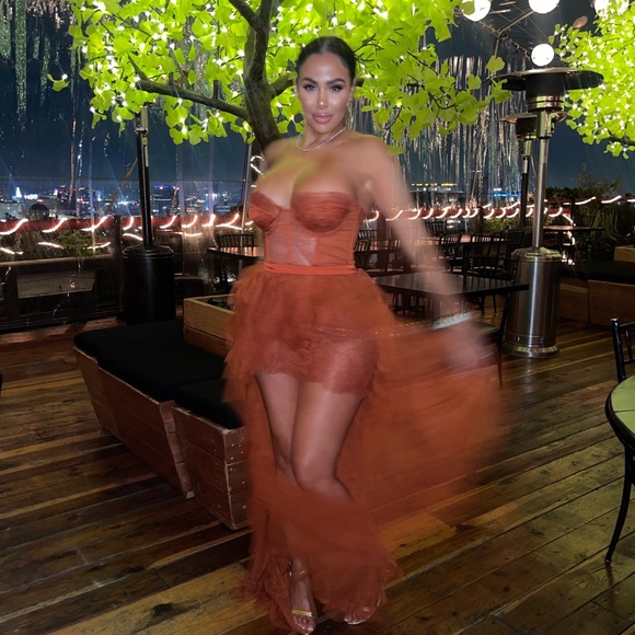 BUSTIER GOWN DRESS - Picture 5 of 8